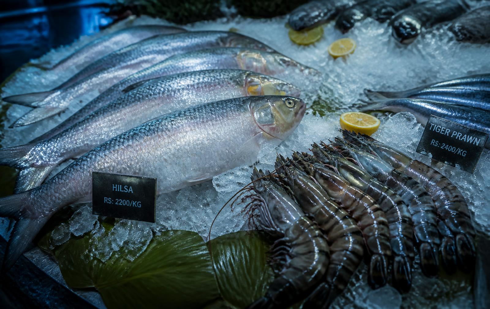 Fresh hilsa and prawns packed on ice