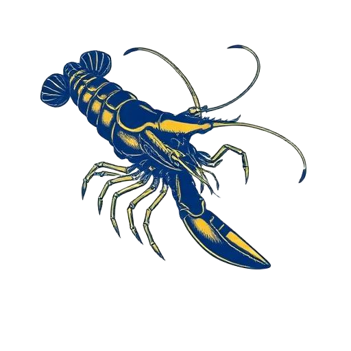 Goldra Prawns illustration
