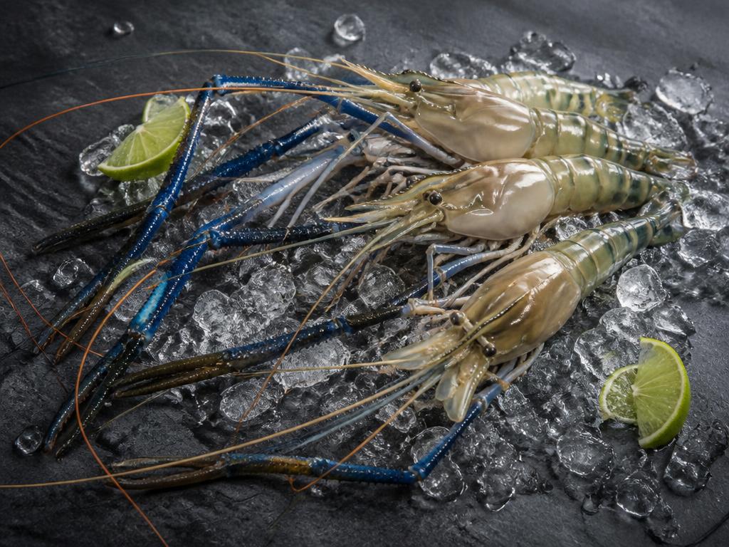 Fresh Goldra Prawns