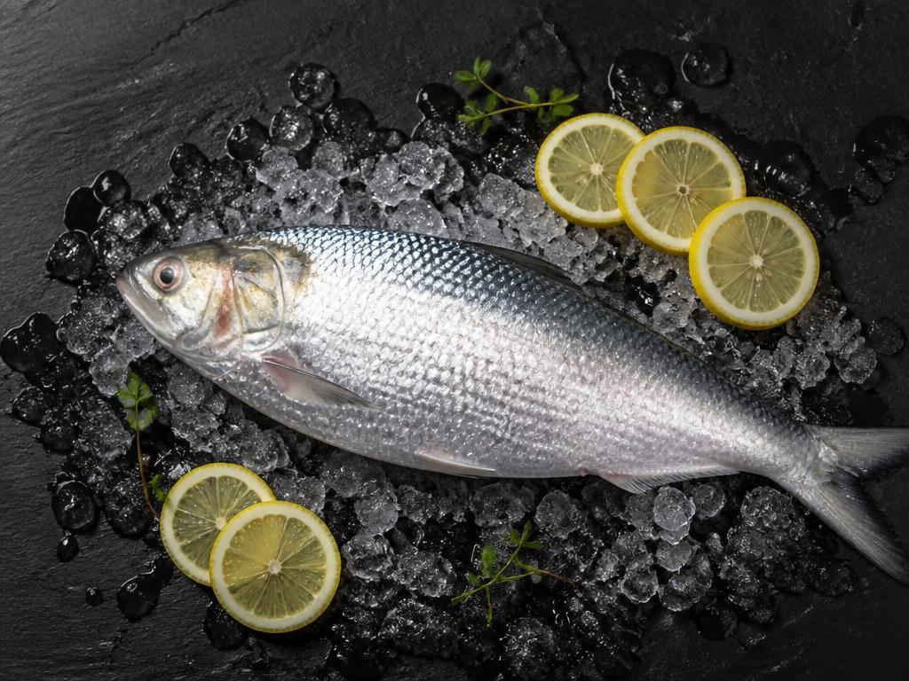 Fresh Ilish